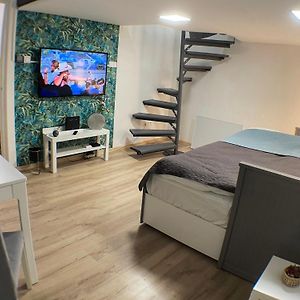 Appartement met een Slaapkamer